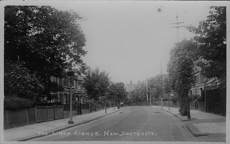 Limes Avenue, N11