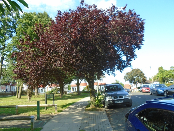 Raleigh Drive, N20