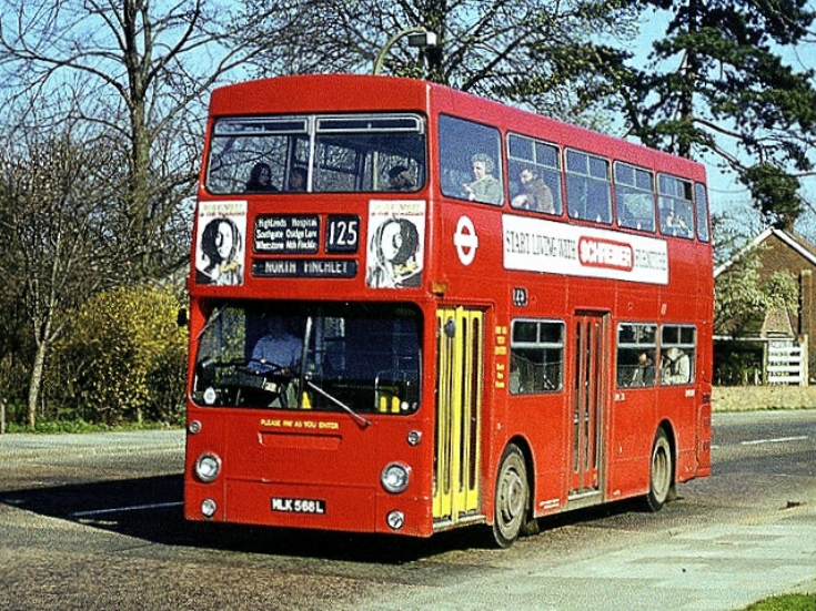 Buses