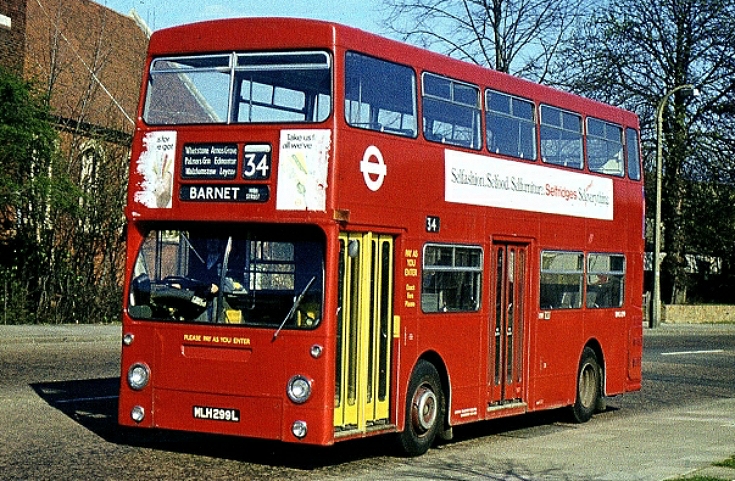 Buses