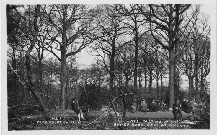 Bowes Road, N11
