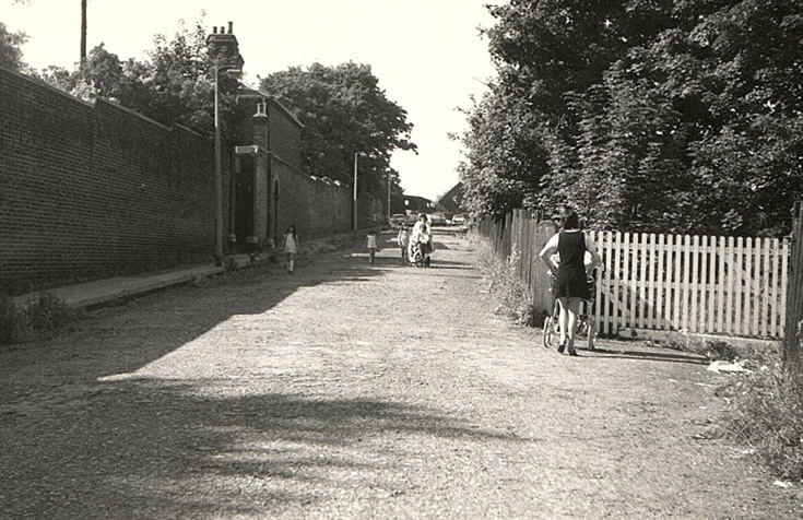 Transport Trains