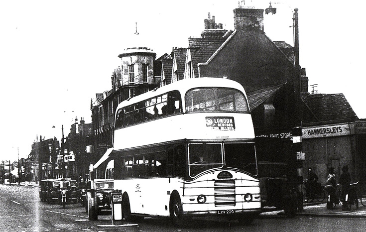 Buses