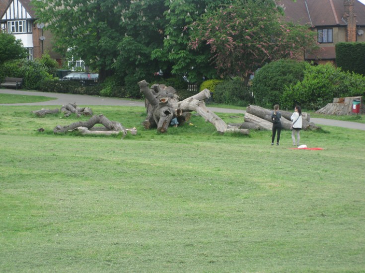Friary Park