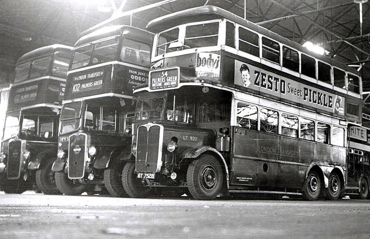 Bus