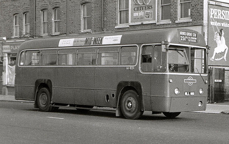 Buses