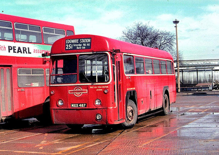 Buses