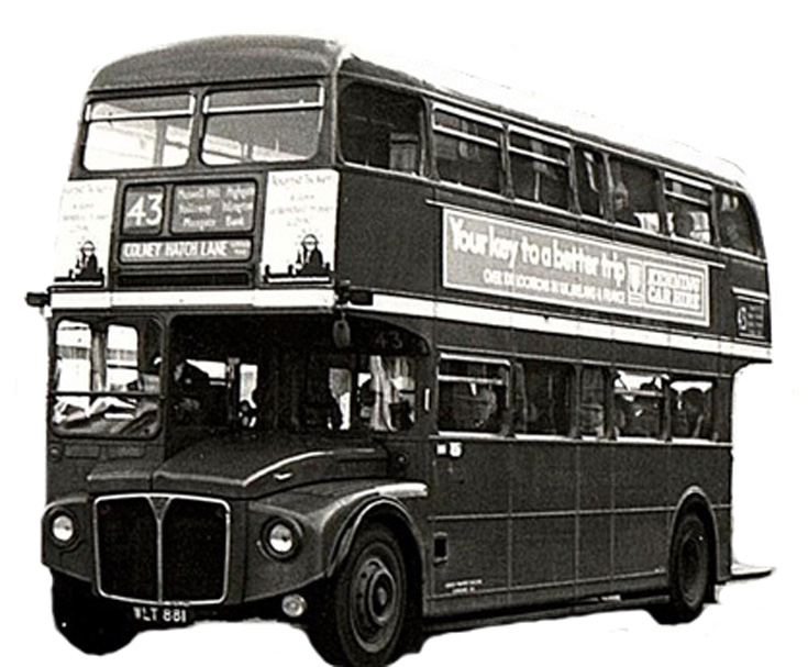 Buses