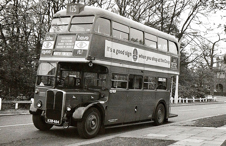 Buses