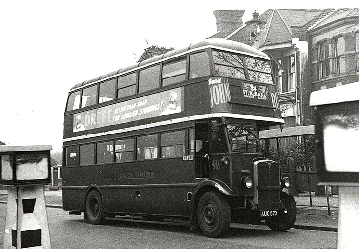 Buses