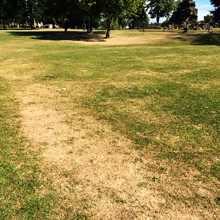 Friary Park