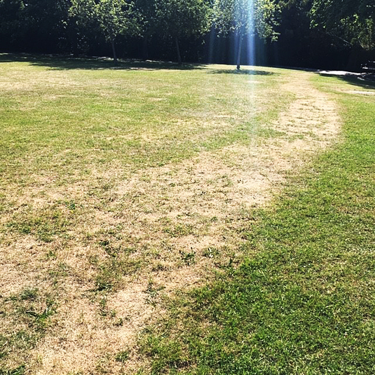 Friary Park