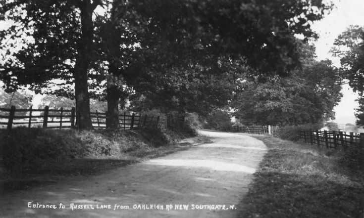 Russell Lane, N20