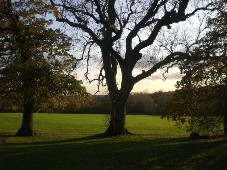 Brook Farm Open Space