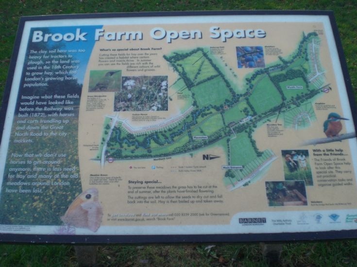 Brook Farm Open Space