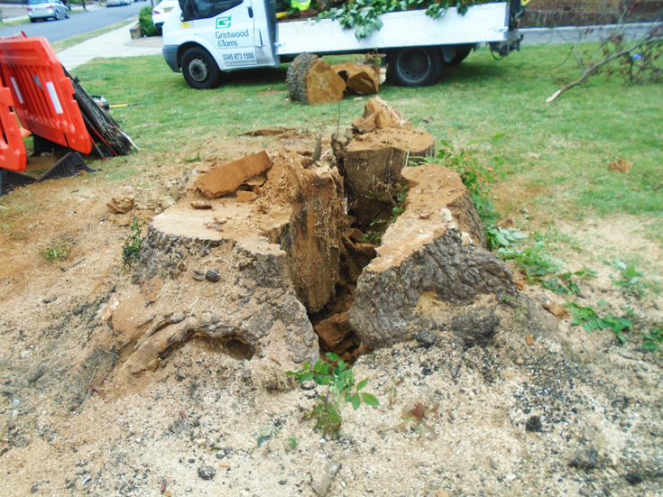 Friern and Finchley Photo Archive Raleigh Drive, N20