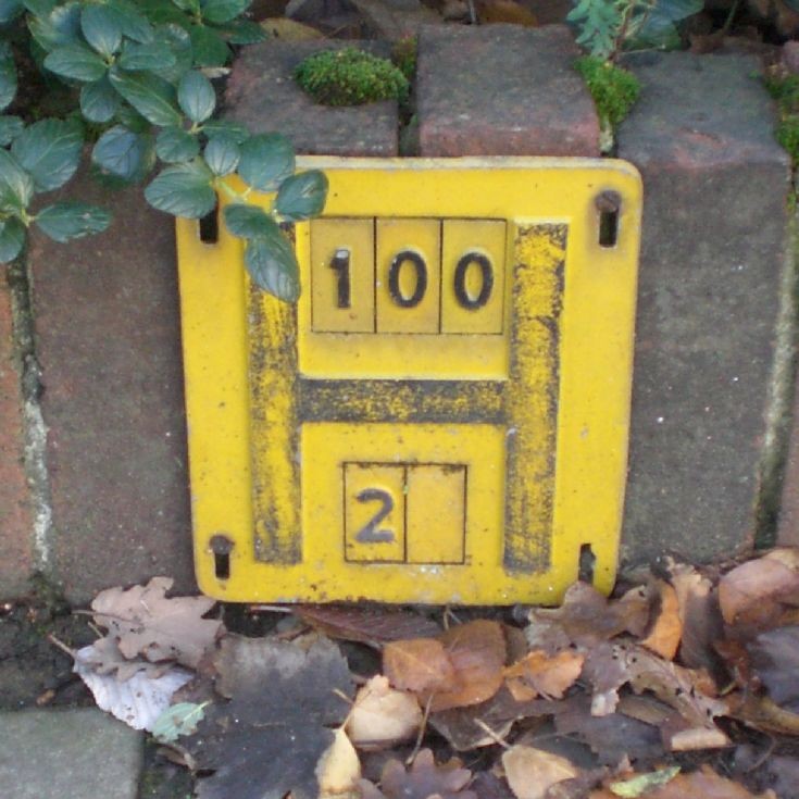 Fire Hydrant Marker