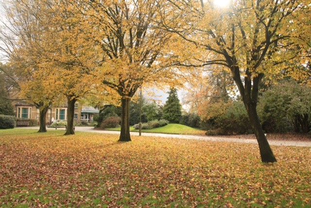 Friary Park