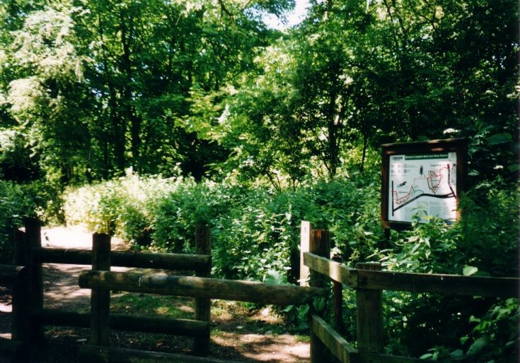 Coppetts Wood Nature Reserve