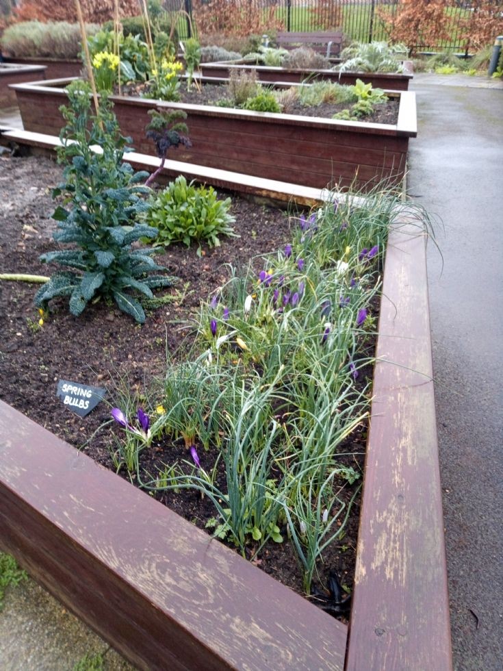 Friern and Finchley Photo Archive Finchley Memorial Hospital