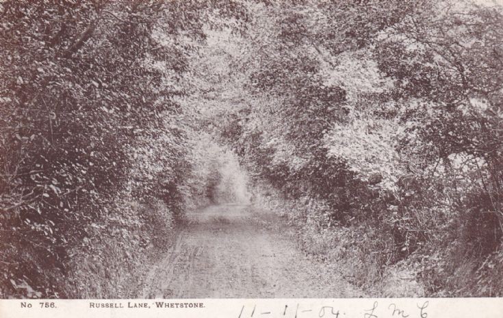 Russell Lane N20
