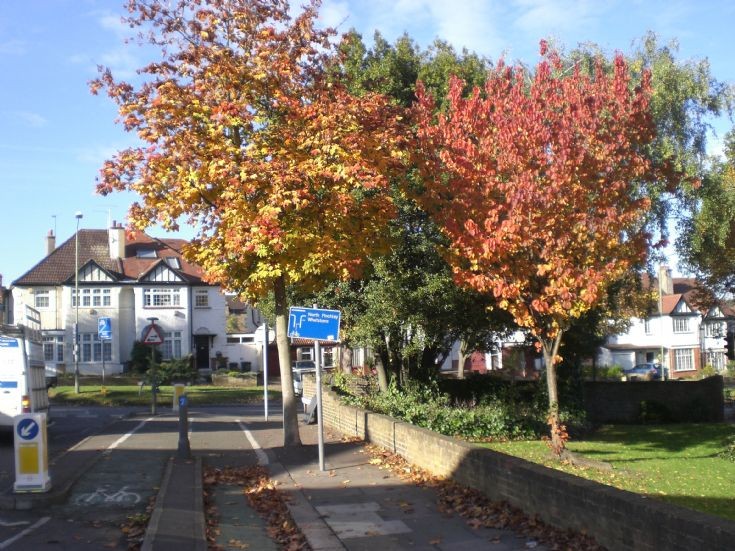 Goldsmith Road, N11