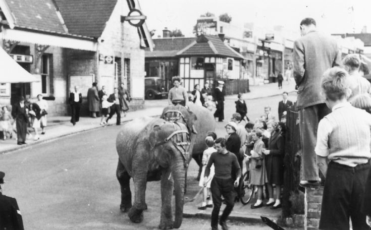 Totteridge Lane