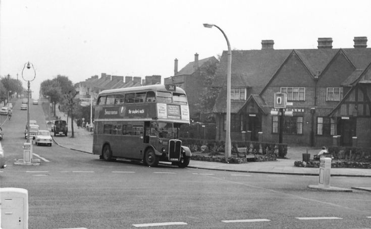 Buses