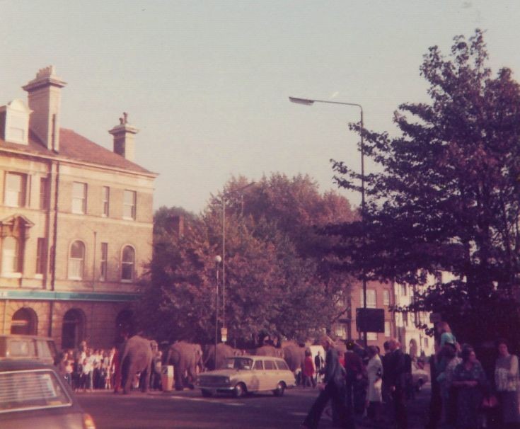 Station Road, N11