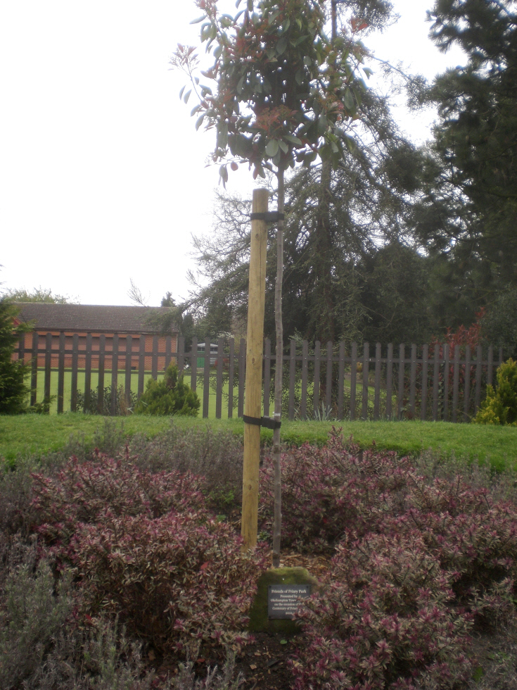 Friary Park
