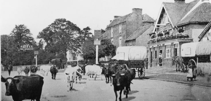 Blue Anchor, 1432 High Road, Whetstone
