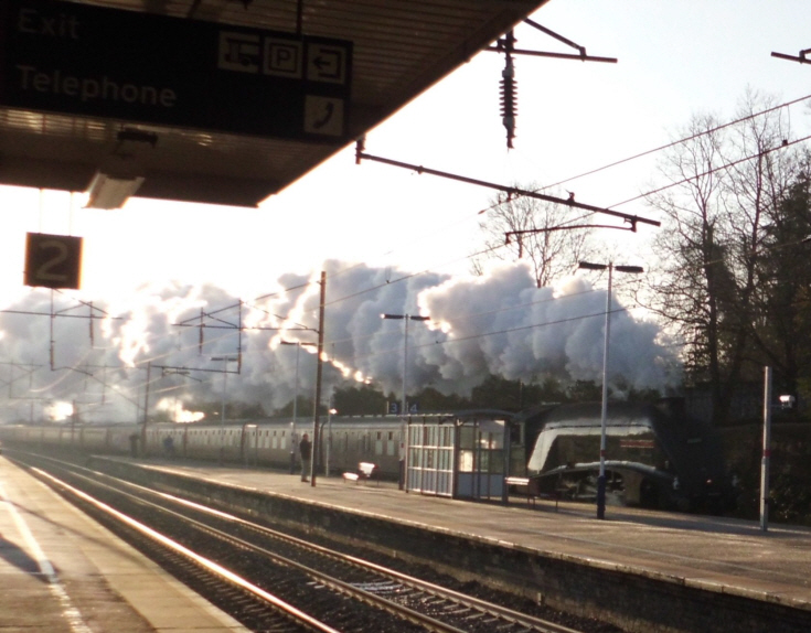 Trains
