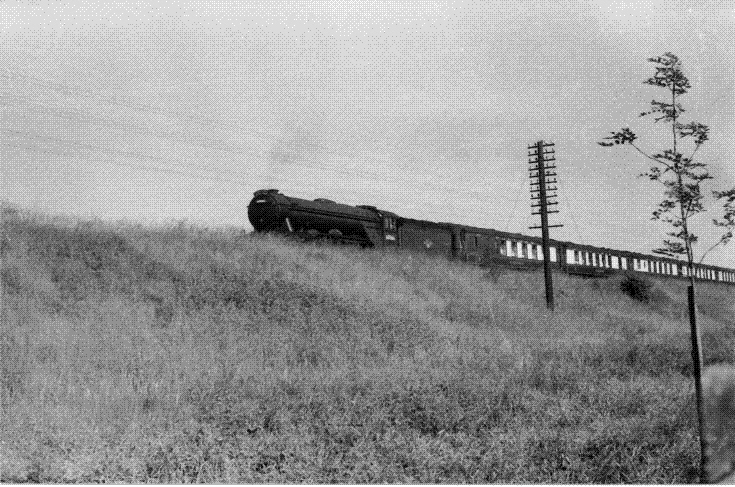 Trains
