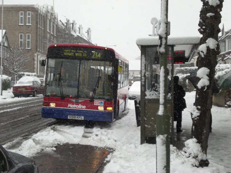 Buses