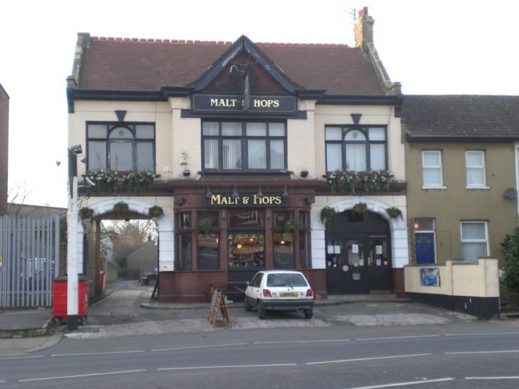 The Malt and Hops
