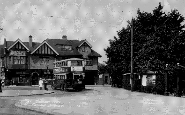 Buses