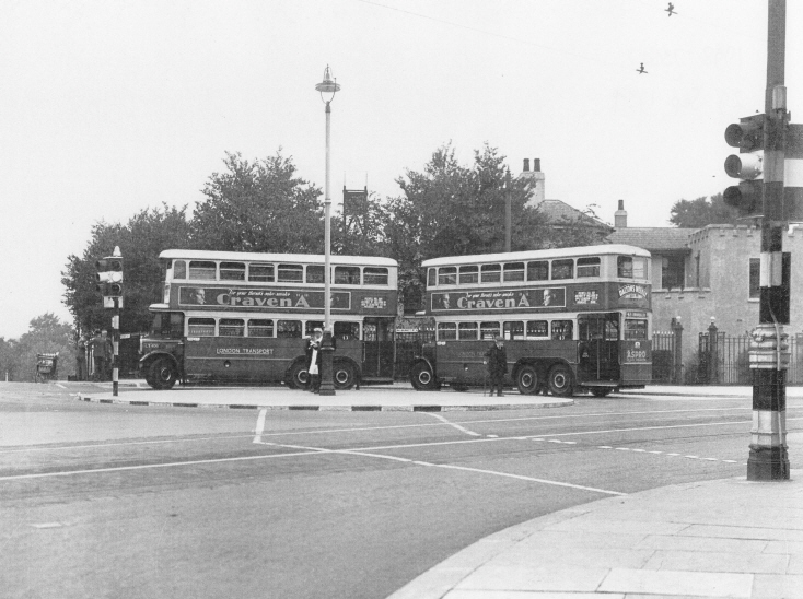 Buses