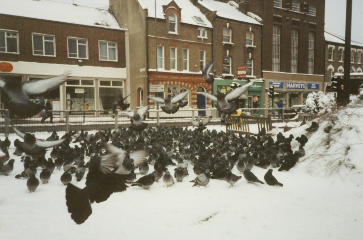High Road, North Finchley