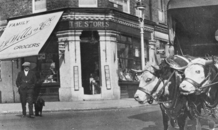 Oakleigh Road North, N20