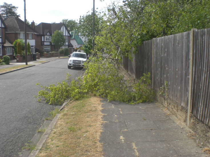 Raleigh Drive, N20