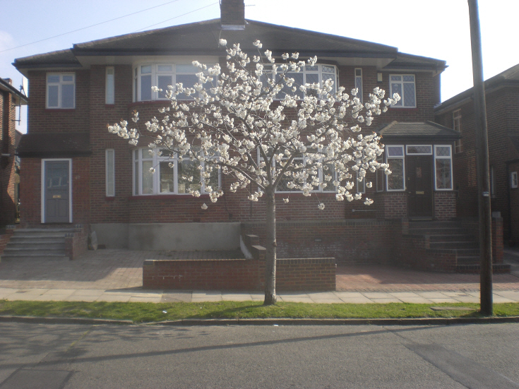Raleigh Drive, N20