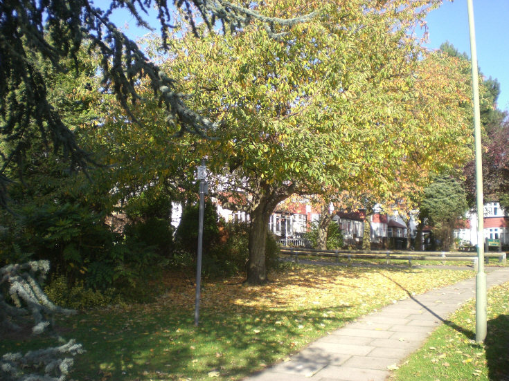 Raleigh Drive, N20