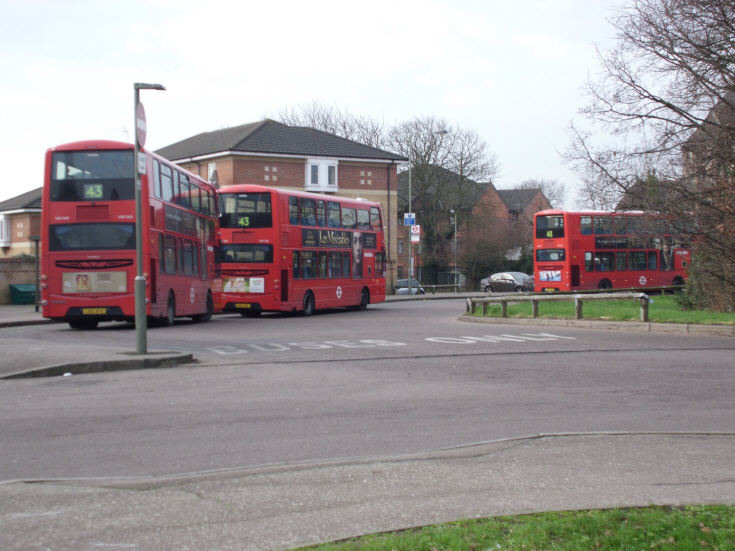 Buses