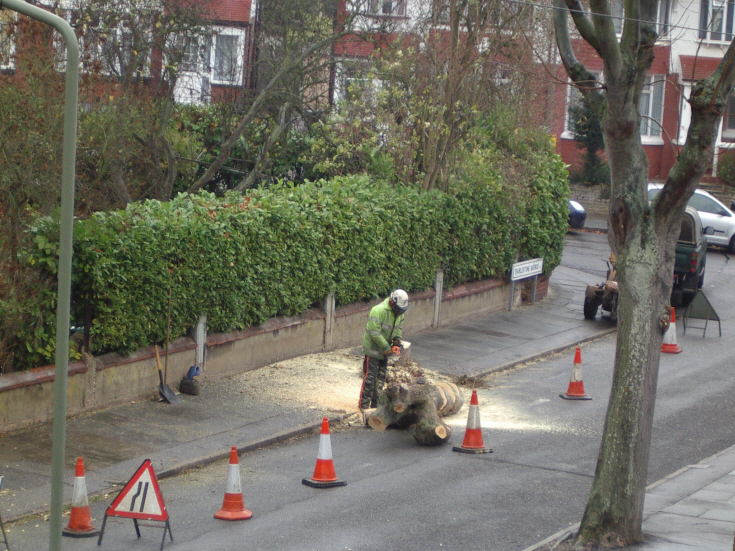 Thurlestone Avenue, N12