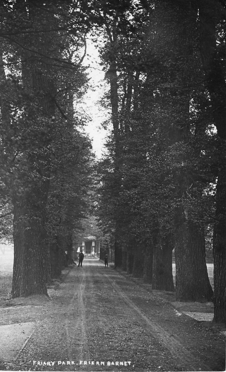 Friary Park. The Avenue