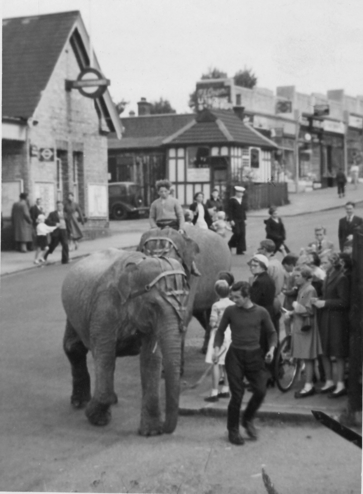 Totteridge Lane