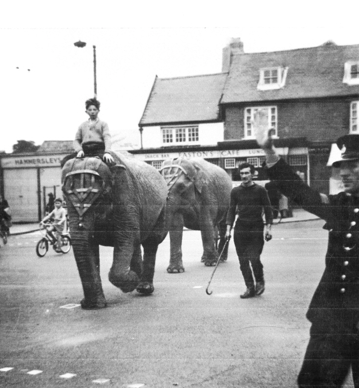 High Road, Whetstone