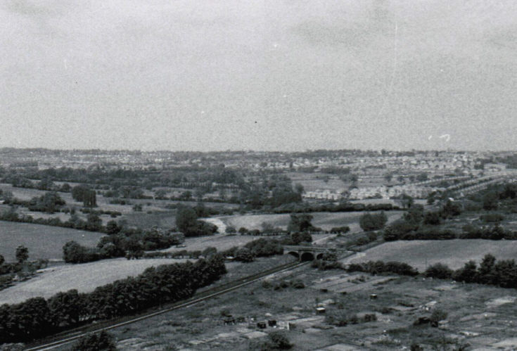 Whetstone