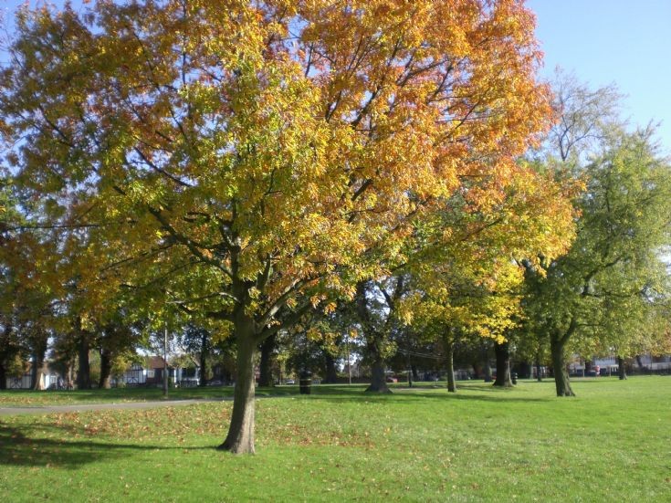 Friary Park.