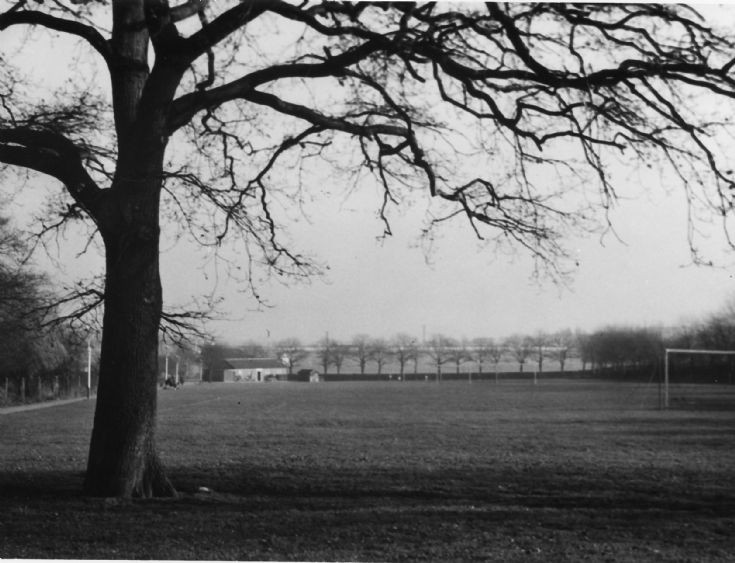 Bethune Park